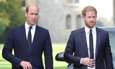 Prince William and Prince Harry