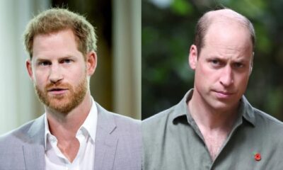 Prince Harry and Prince William