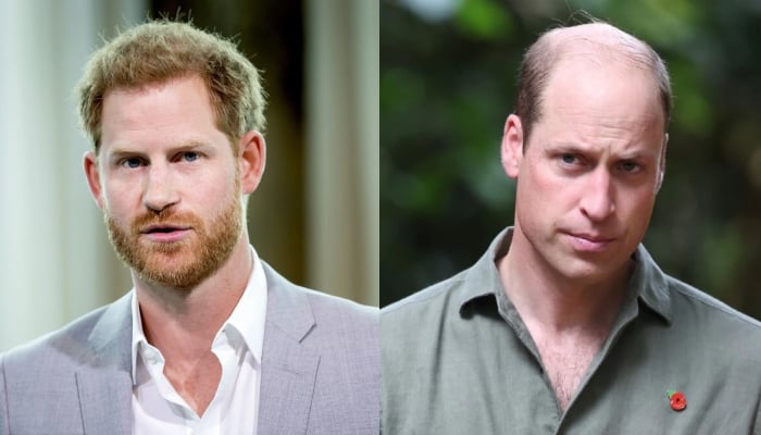 Prince Harry and Prince William