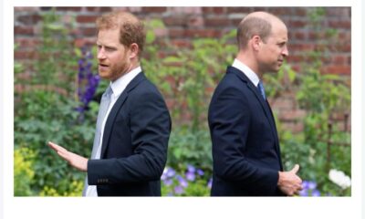 Prince Harry and Prince William