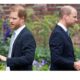 Prince Harry and Prince William