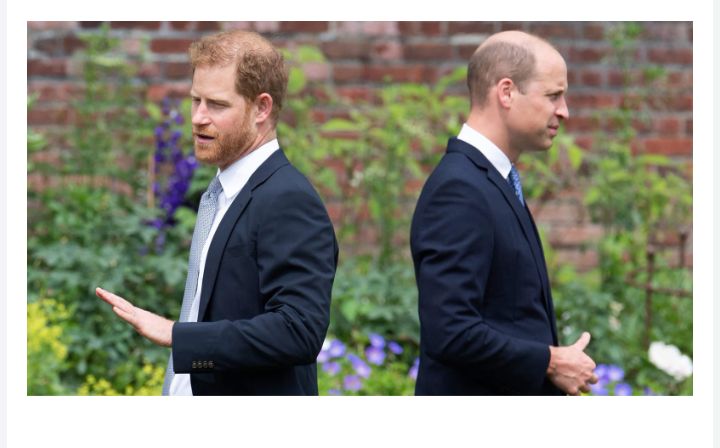 Prince Harry and Prince William