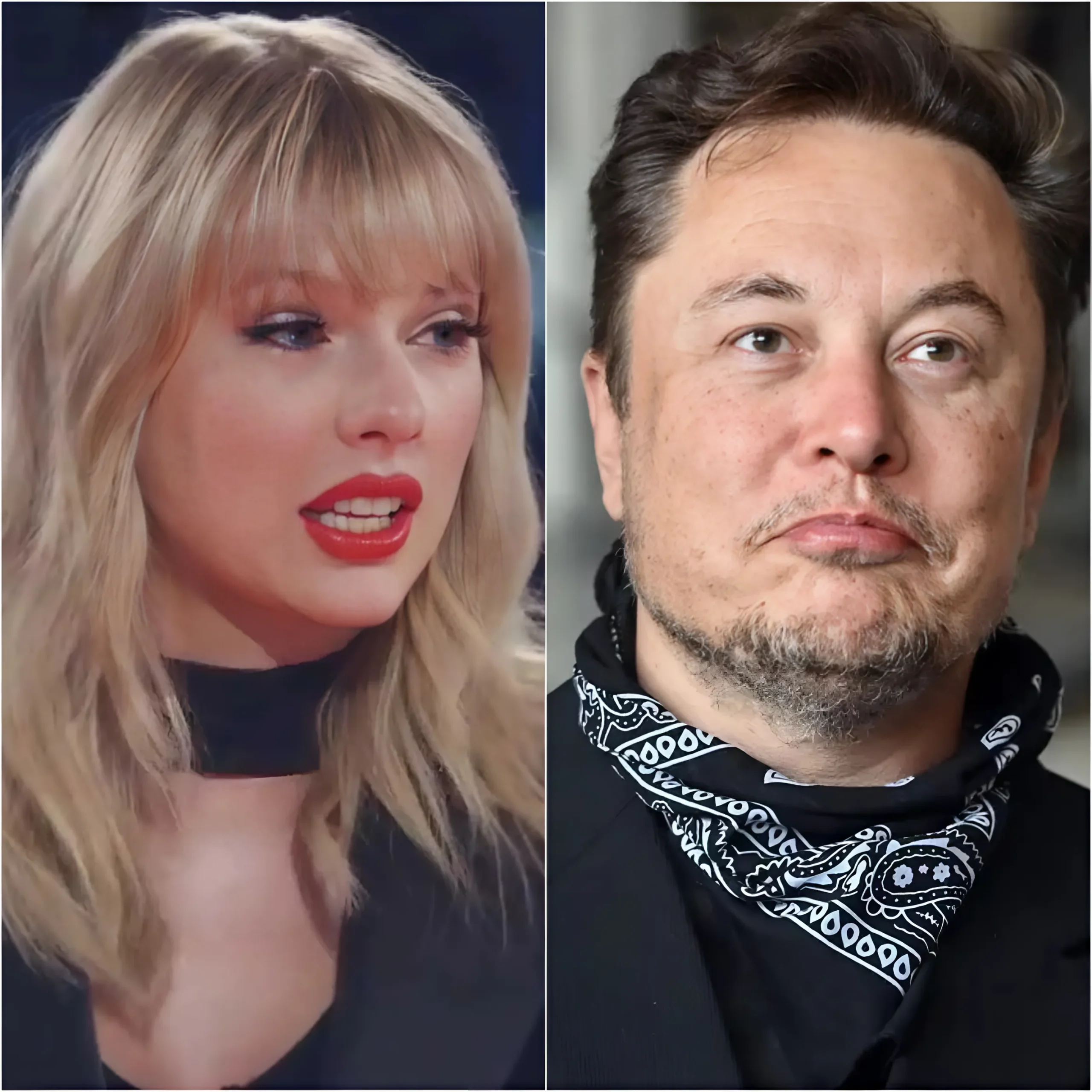 Taylor Swift and Elon Musk