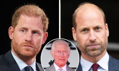 King Charles, Prince Harry and Prince William